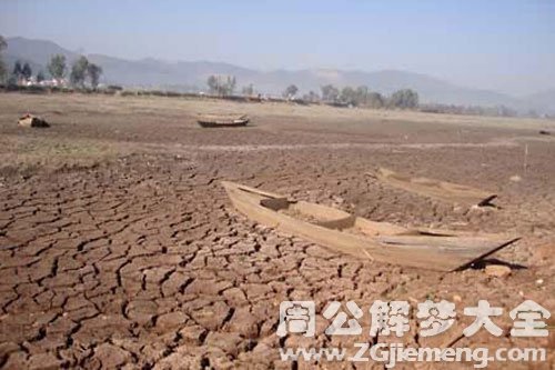 河水干枯好多鱼