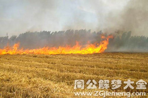 庄稼地里着火了