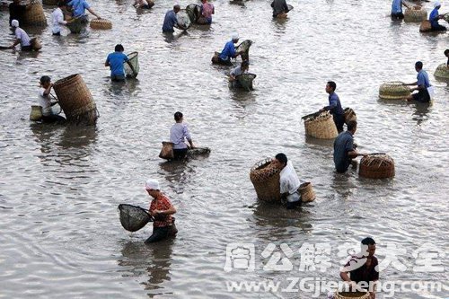 梦见水流很急捉鱼