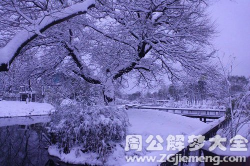 梦见雪花飘