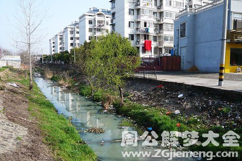 梦见臭水沟边走