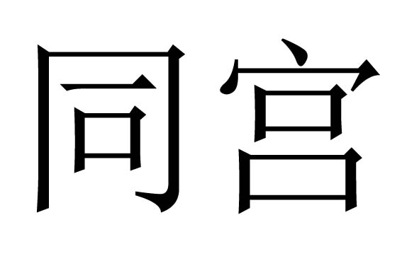 同宫是什么意思