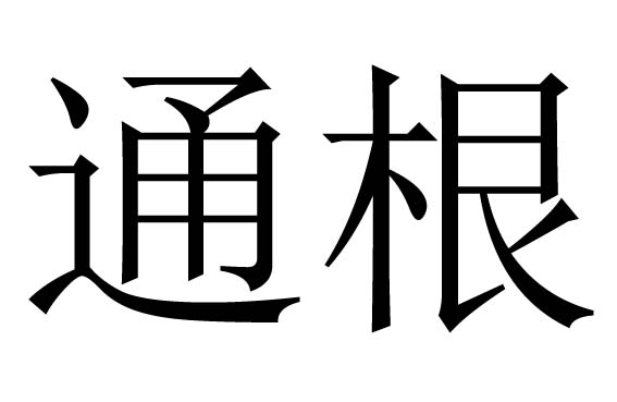 通根是什么意思