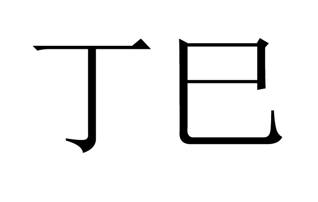  丁巳是什么意思