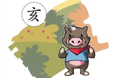 属猪人2019年的运势