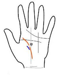 有贵人的生命线手相图解