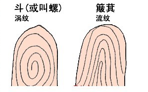 看手指斗和簸算命知运势