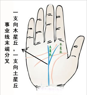 命运线末端分叉