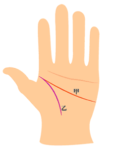 智慧线和生命线相交
