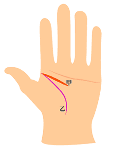 智慧线和生命线相交