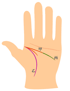 智慧线和生命线相交