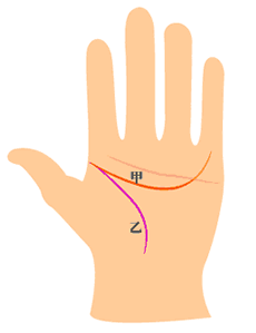 智慧线和生命线相交