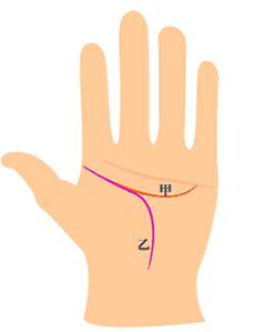 智慧线和生命线相交