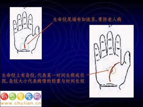 手相算命图解（经典版）