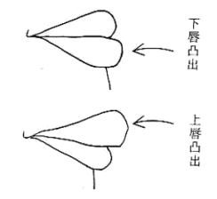 女人相学——命运相