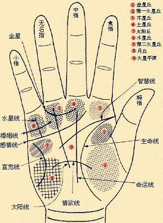 7种手相最旺财