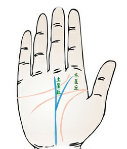 手相事业线分叉图解，事业线末端分叉