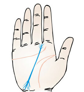 手相事业线分叉图解，事业线末端分叉