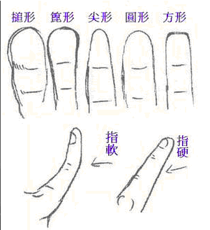 手指看相预测你的命运