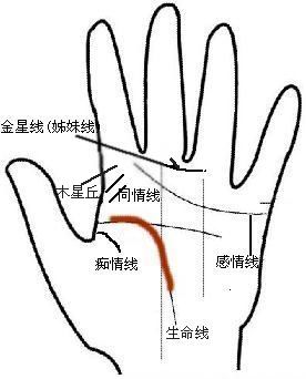 看你有没有多情无益的掌纹