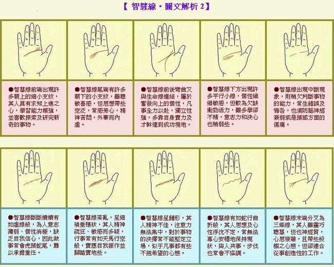 成涛掌相智慧线图解  成涛掌相智慧线图解