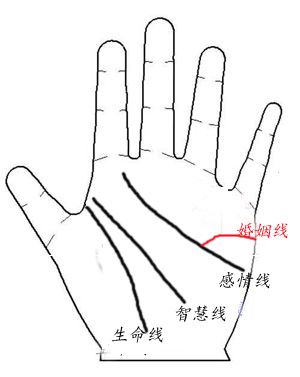 第一款：婚姻线很长向下弯或是与感情线重迭   