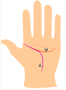 智慧线起端与生命线重迭过长，尾端翘到小指下方或与感情线接触