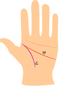 智慧线(甲)与生命线(乙)起点相交，但智慧线的长度到达掌边