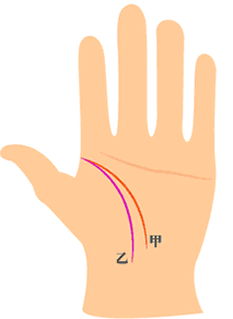 智慧线(甲)与生命线(乙)起点相交，但智慧线和生命线平行而下垂