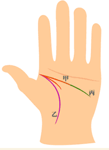 智慧线两条(甲)与生命线(乙)起点相交，上一条长度到达中指，下一条只达食指