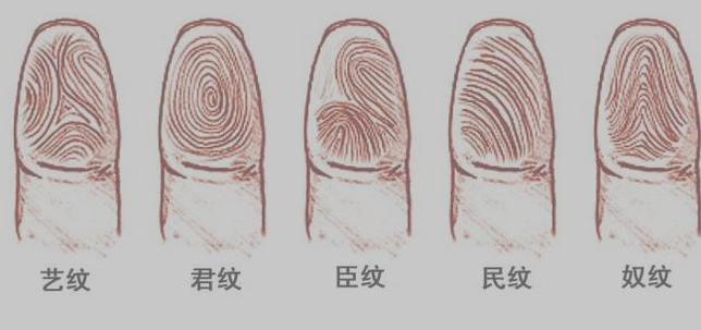 指纹算命十六：斗、簸箕、簸箕、簸箕、簸箕