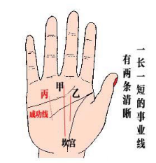 有两条事业线，一长(甲)、一短(乙)，再有成功线(丙)