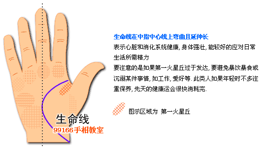 生命线,健康,看手相,手相