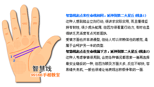 智慧线,个性,看手相,手相