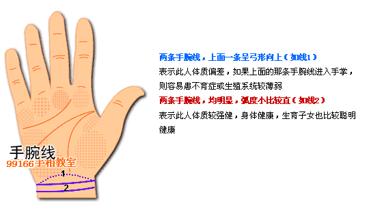 掌纹,支线,手相,看手相