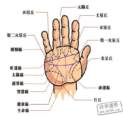 断掌手相,怎么样看断掌手相