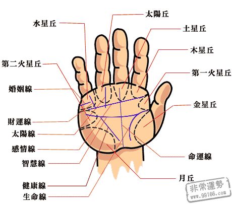 手相算命,手相算命图解