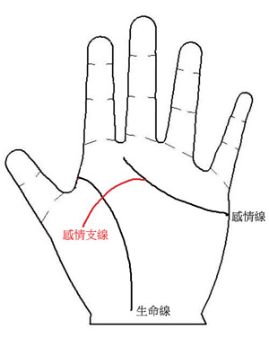 手相图解,手相算命图解,刻骨铭心的爱