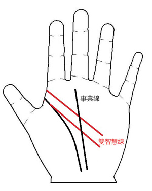 手相图解,手相算命图解,手相看人生