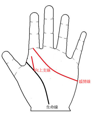 手相图解,子女孝顺,手相算命图解