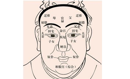 面相十二宫,面相分析,面相看命运