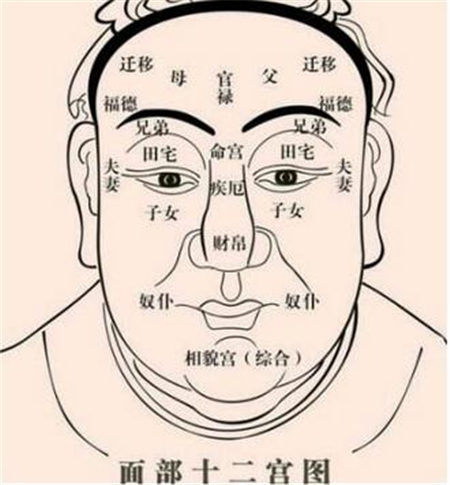 面相,面相12宫,面相测吉凶