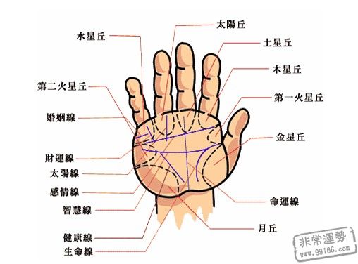 手相,工作运势,相术网