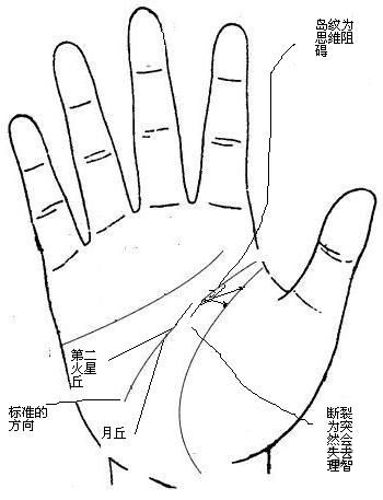 智慧线,手相,相术网