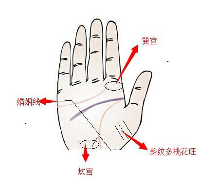 手相,桃花,相术网