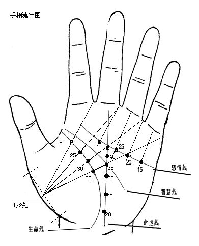 手相,手相感情线,感情线
