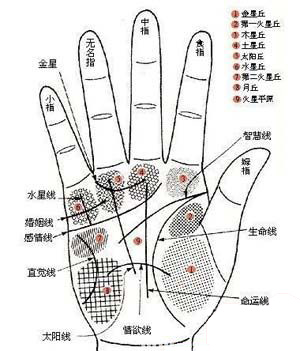 手相,手相算命图解,天生富贵命女手相图