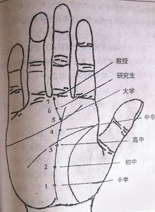 手相,学历,相术