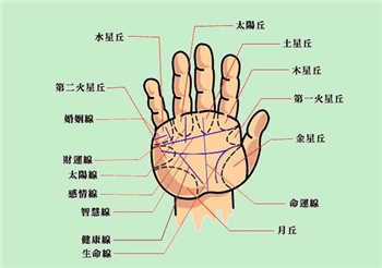 充满热情,热情洋溢,手相特征