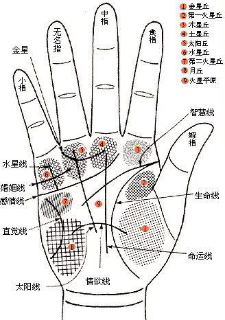 如何看手相,教你看手相,看手相方法